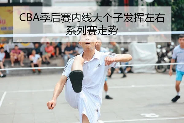 CBA季后赛内线大个子发挥左右系列赛走势