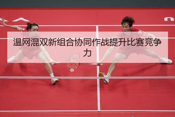 wen-wang-hun-shuang-xin-zu-he-xie-tong-zuo-zhan-ti-sheng-bi-sai-jing-zheng-li-1-799.jpg